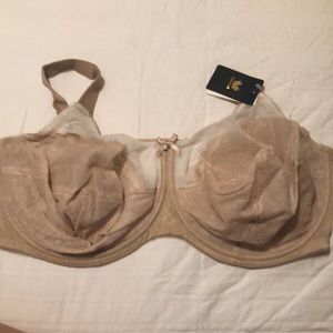 Wacoal bra 38I